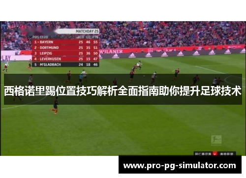 西格诺里踢位置技巧解析全面指南助你提升足球技术 西格诺里踢位置技巧解析全面指南助你提升足球技术