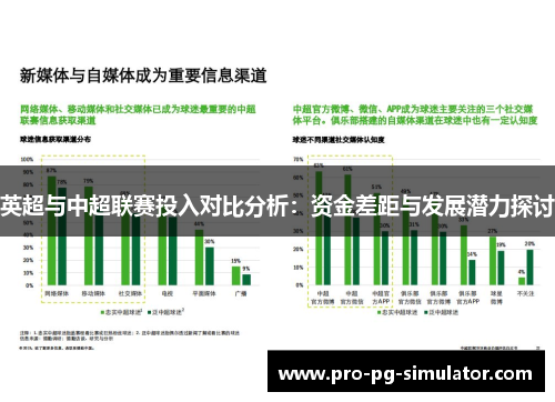 英超与中超联赛投入对比分析：资金差距与发展潜力探讨