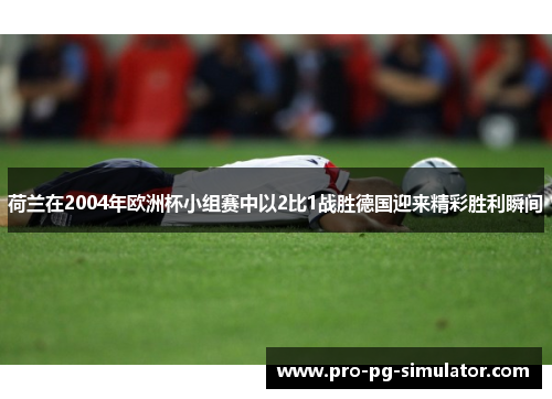 荷兰在2004年欧洲杯小组赛中以2比1战胜德国迎来精彩胜利瞬间 荷兰在2004年欧洲杯小组赛中以2比1战胜德国迎来精彩胜利瞬间