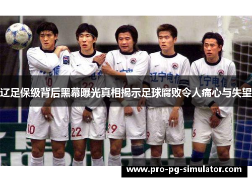 辽足保级背后黑幕曝光真相揭示足球腐败令人痛心与失望