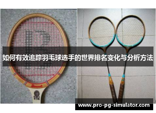 如何有效追踪羽毛球选手的世界排名变化与分析方法